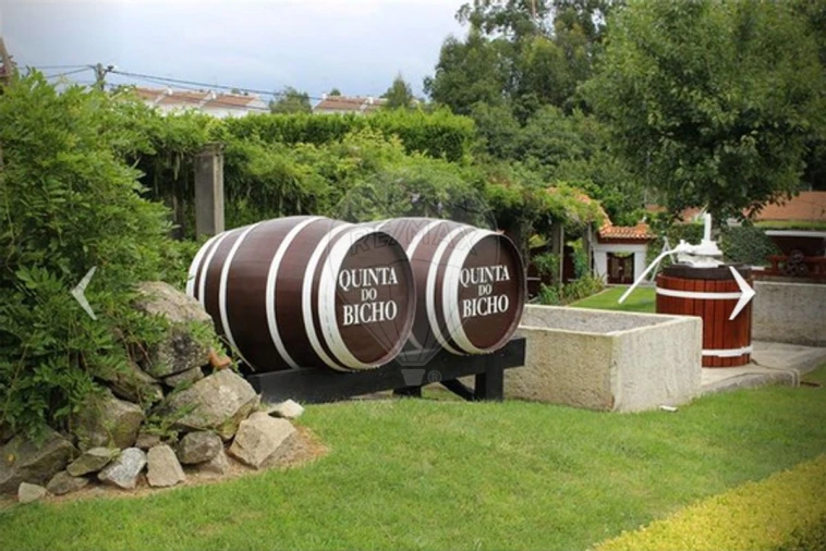 Quinta T1 para Arrendamento em São Miguel do Souto e Mosteirô Foto 19