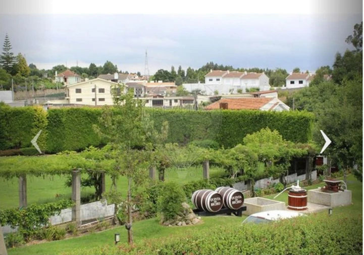 Quinta T1 para Arrendamento em São Miguel do Souto e Mosteirô Foto 2