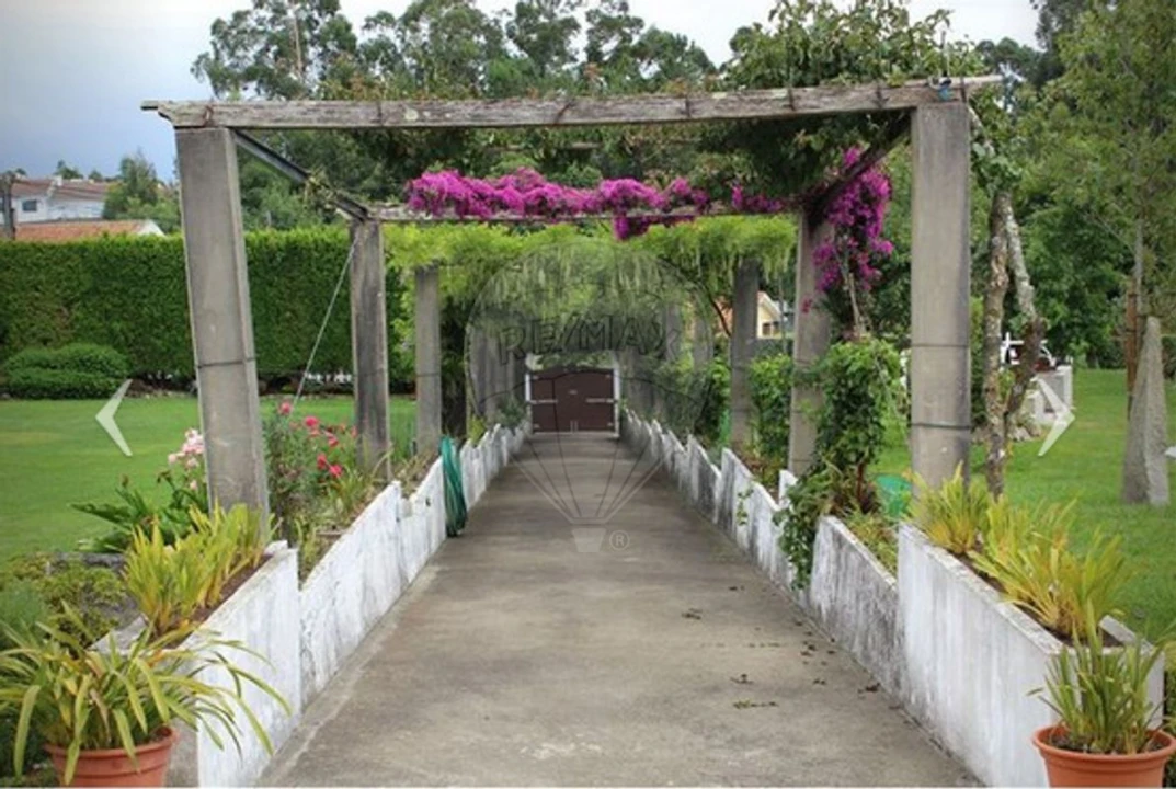 Quinta T1 para Arrendamento em São Miguel do Souto e Mosteirô Foto 18