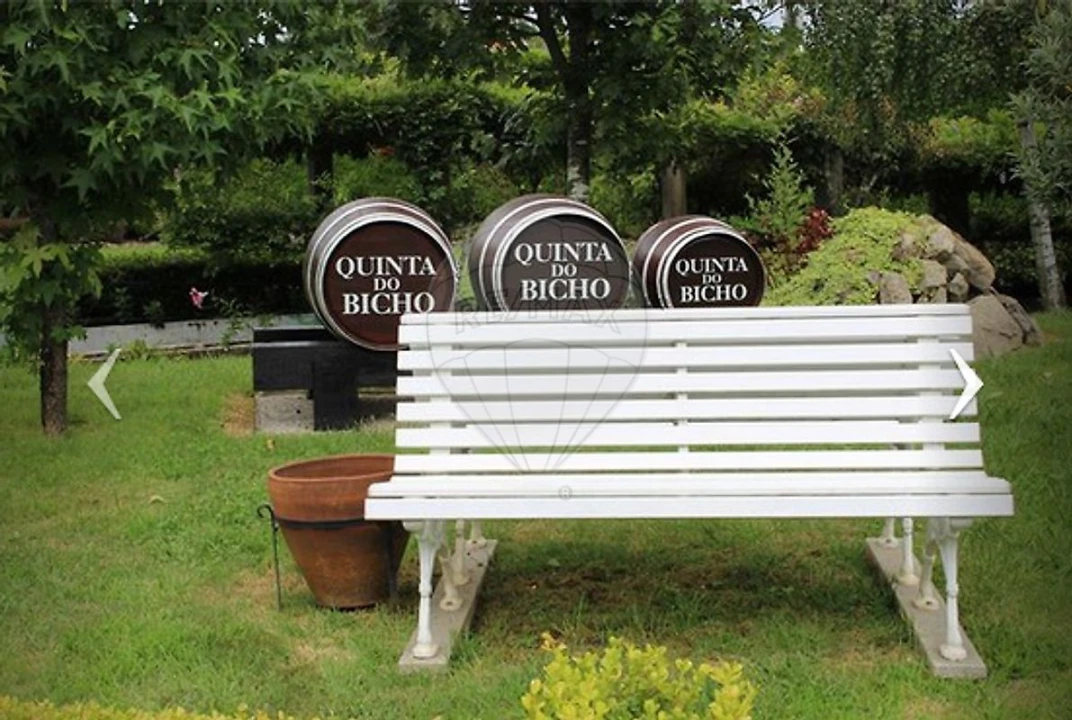 Quinta T3 para Arrendamento em São Miguel do Souto e Mosteirô Foto 34