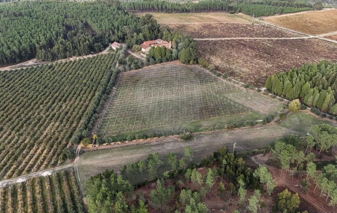 Quinta T8 para Venda em Vacariça Foto 44