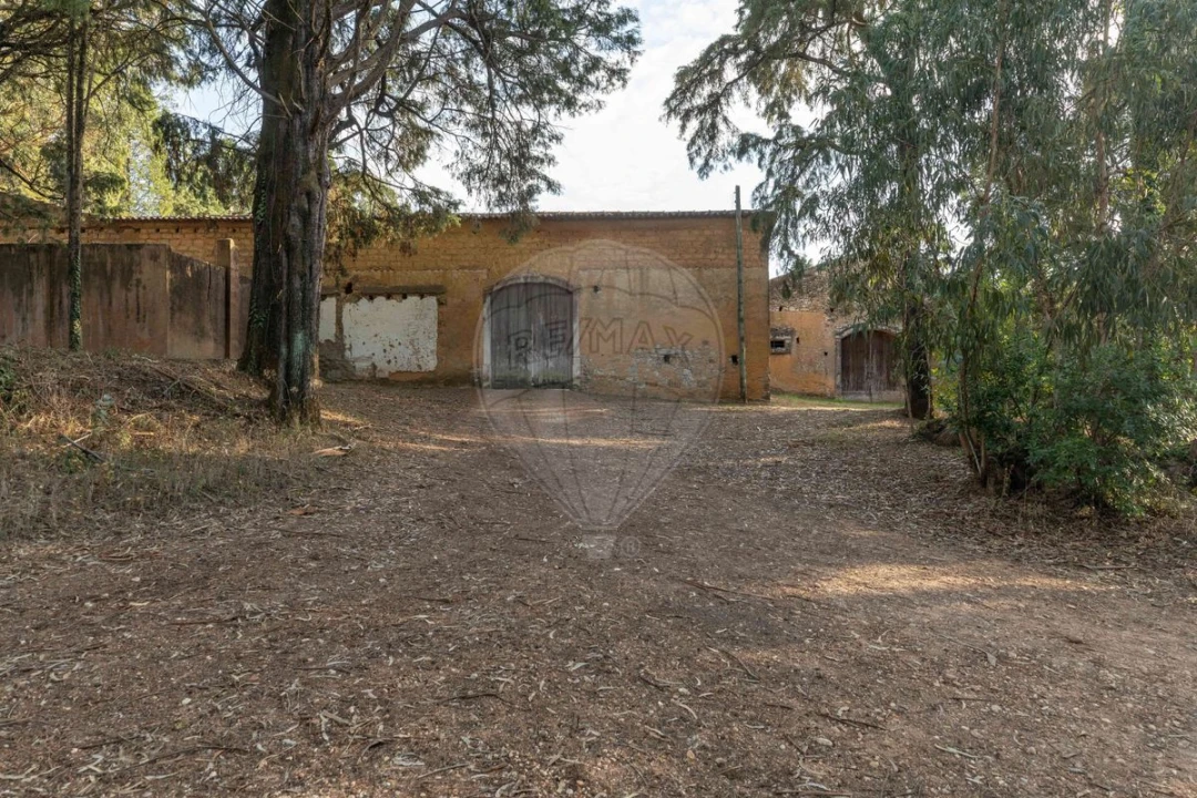 Quinta T8 para Venda em Vacariça Foto 25