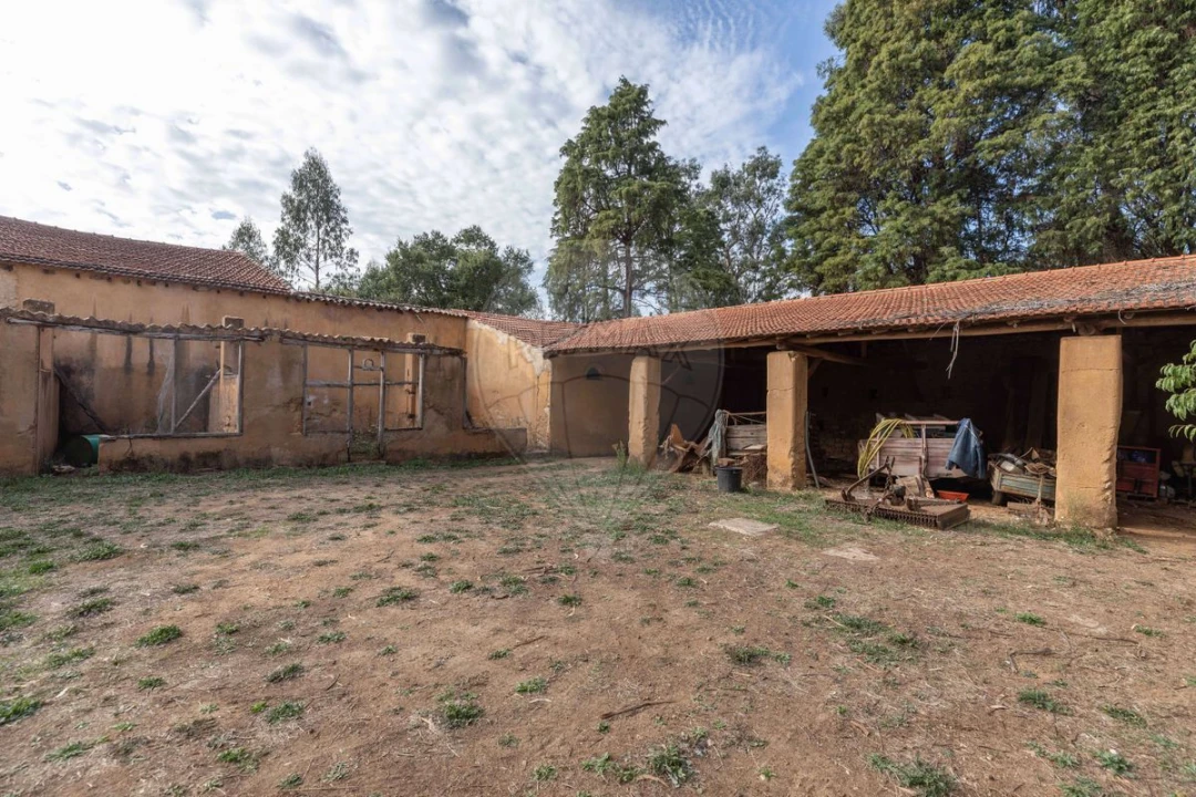 Quinta T8 para Venda em Vacariça Foto 13