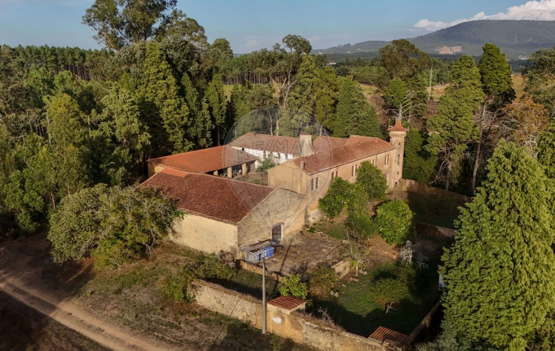 Quinta T8 para Venda em Vacariça Foto 11