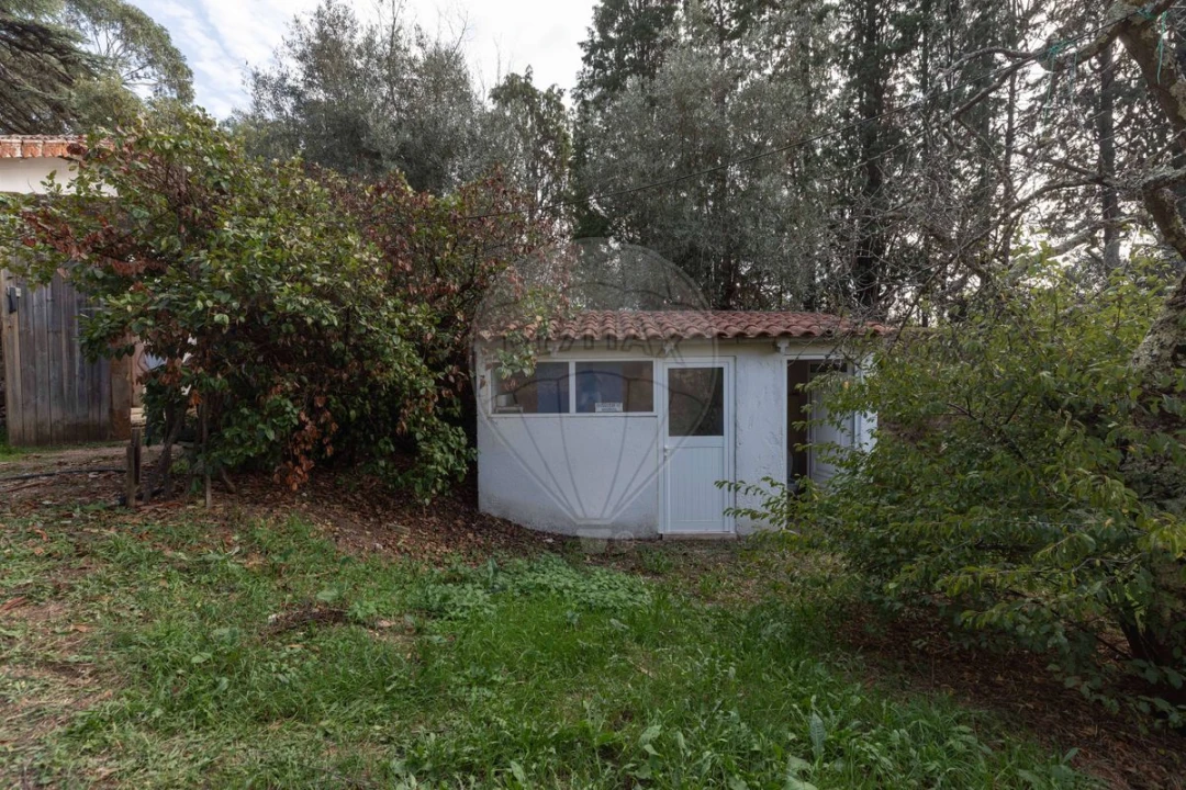 Quinta T8 para Venda em Vacariça Foto 24