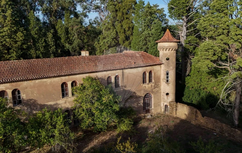 Quinta T8 para Venda em Vacariça Foto 7