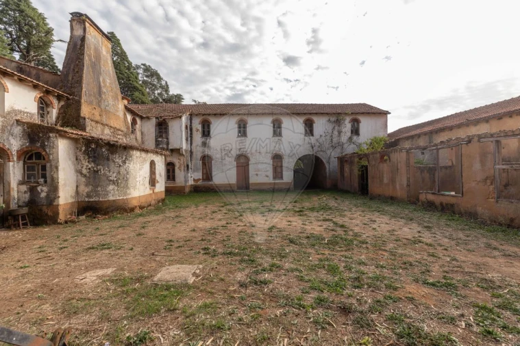 Quinta T8 para Venda em Vacariça Foto 17