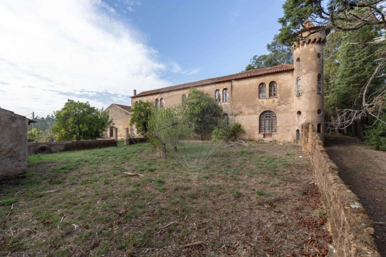 Quinta T8 para Venda em Vacariça Foto 2