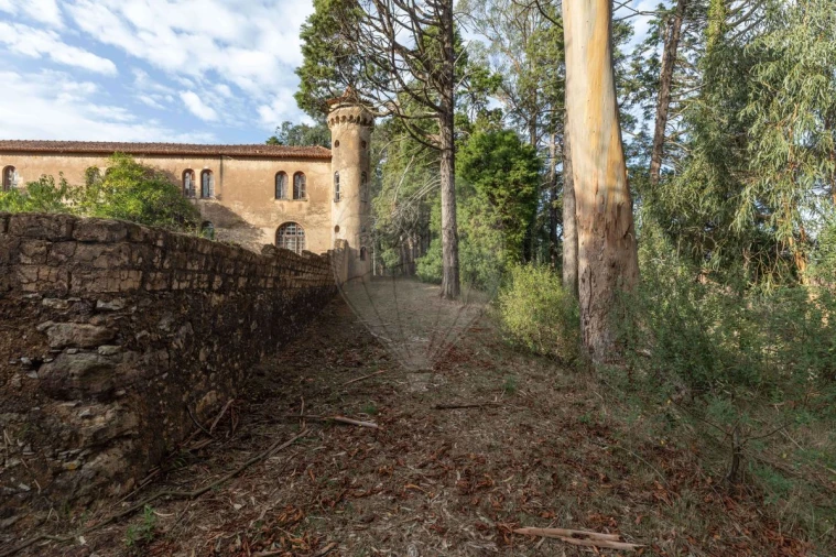 Quinta T8 para Venda em Vacariça Foto 6