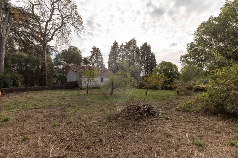 Quinta T8 para Venda em Vacariça Foto 20