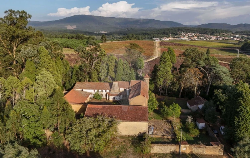 Quinta T8 para Venda em Vacariça Foto 11