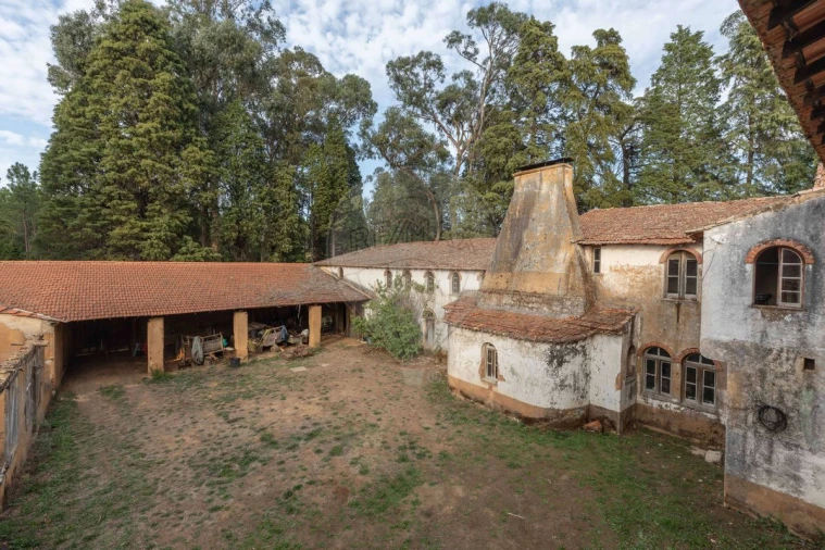 Quinta T8 para Venda em Vacariça Foto 19