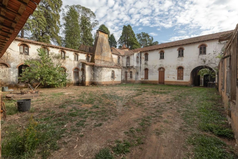 Quinta T8 para Venda em Vacariça Foto 18