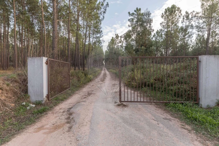 Quinta T8 para Venda em Vacariça Foto 47
