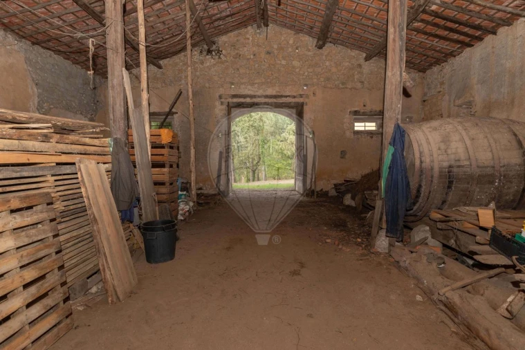 Quinta T8 para Venda em Vacariça Foto 24