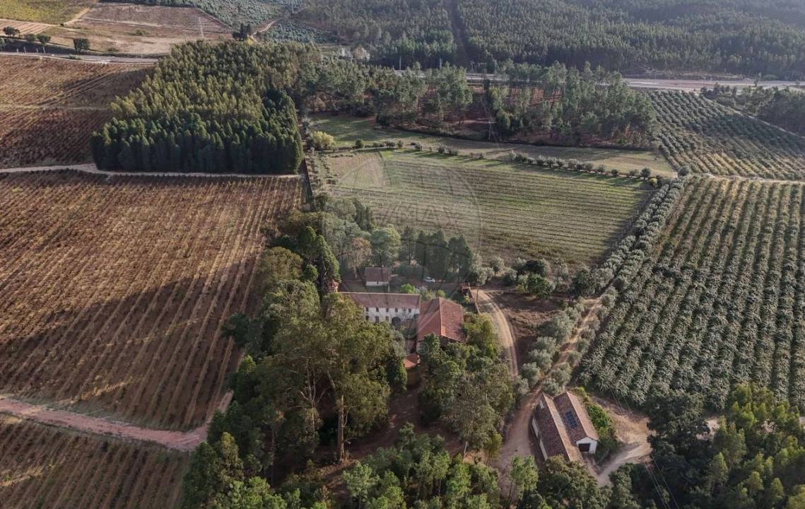 Quinta T8 para Venda em Vacariça Foto 46