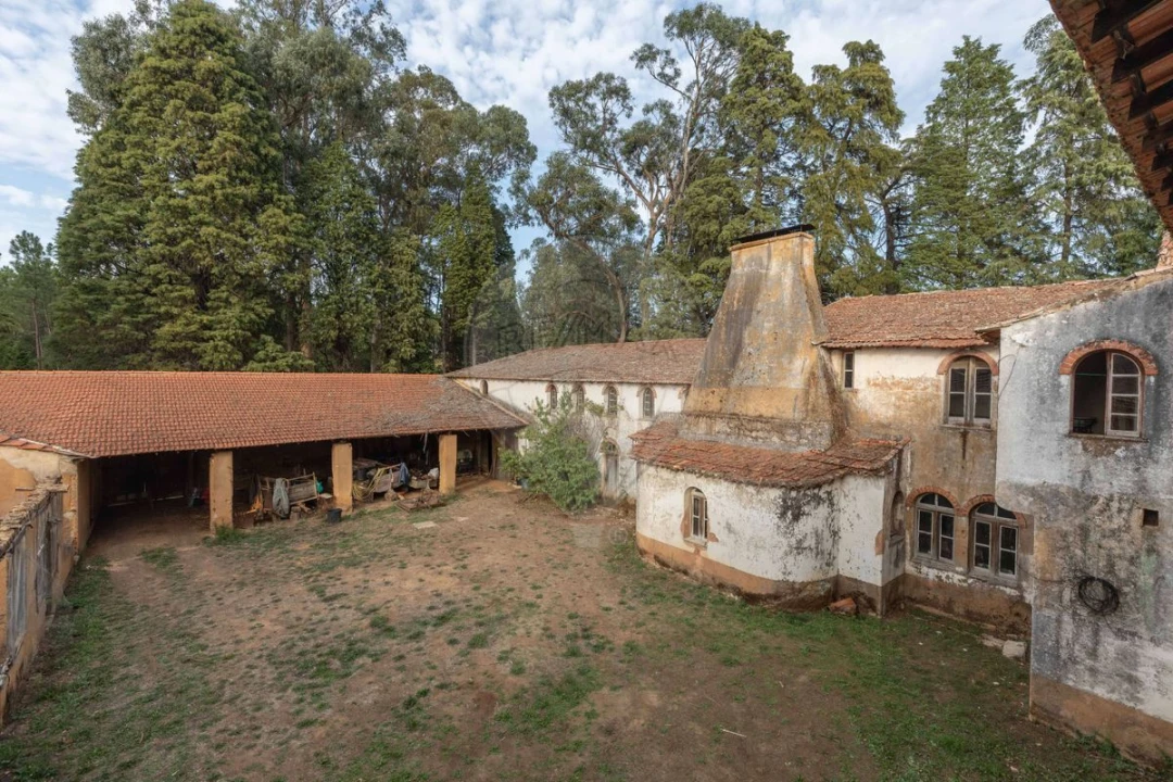 Quinta T8 para Venda em Vacariça Foto 22