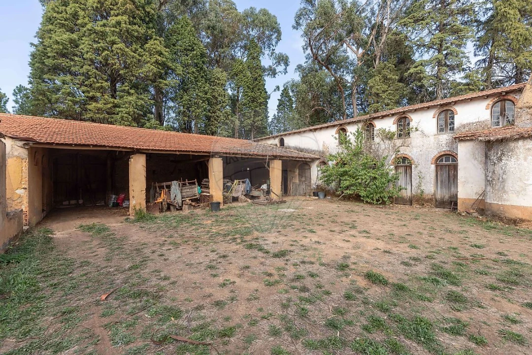 Quinta T8 para Venda em Vacariça Foto 12