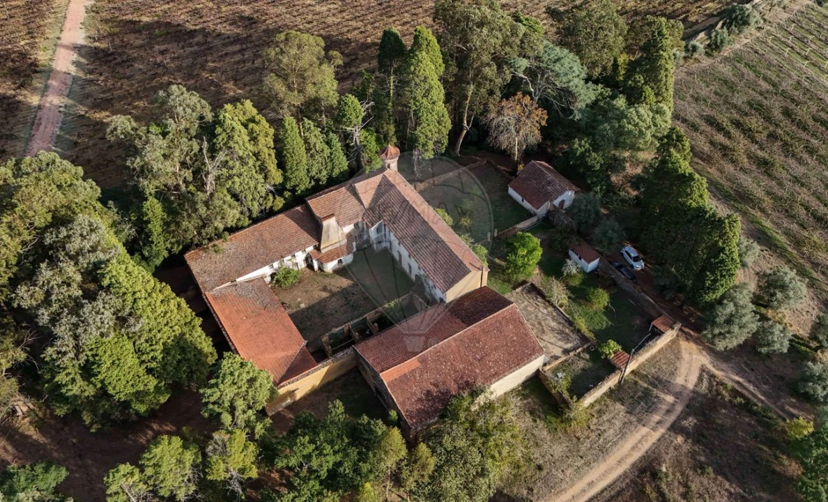 Quinta T8 para Venda em Vacariça Foto 3