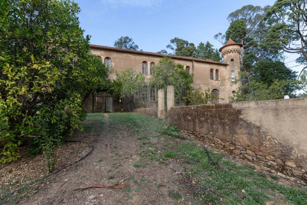 Quinta T8 para Venda em Vacariça Foto 6