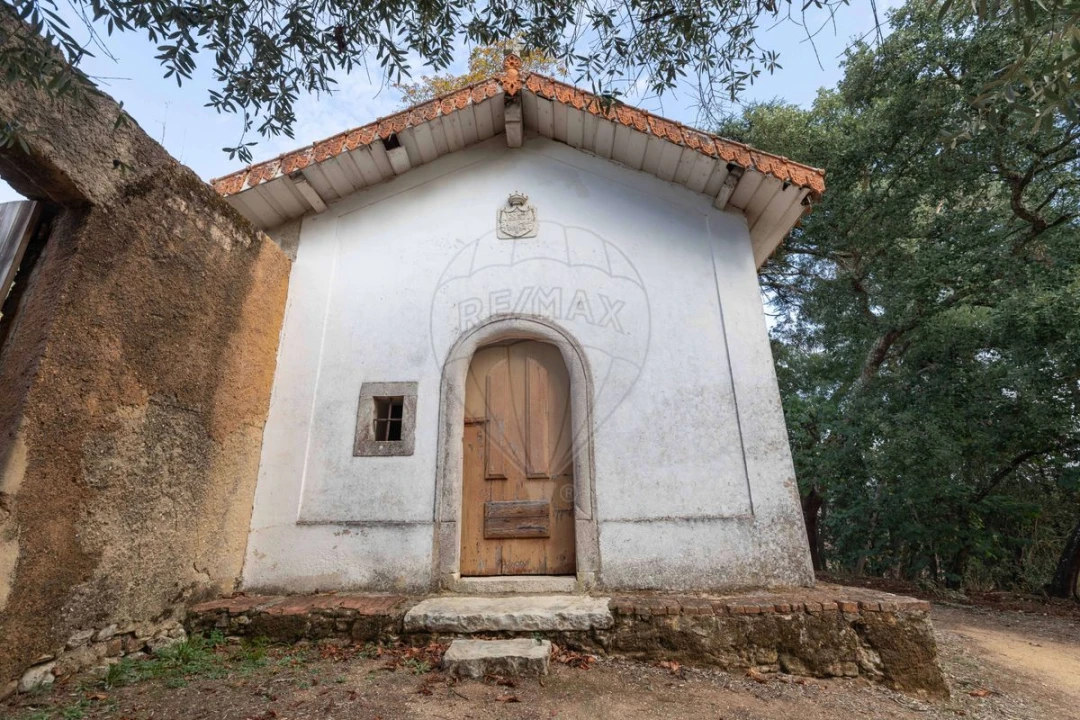 Quinta T8 para Venda em Vacariça Foto 15