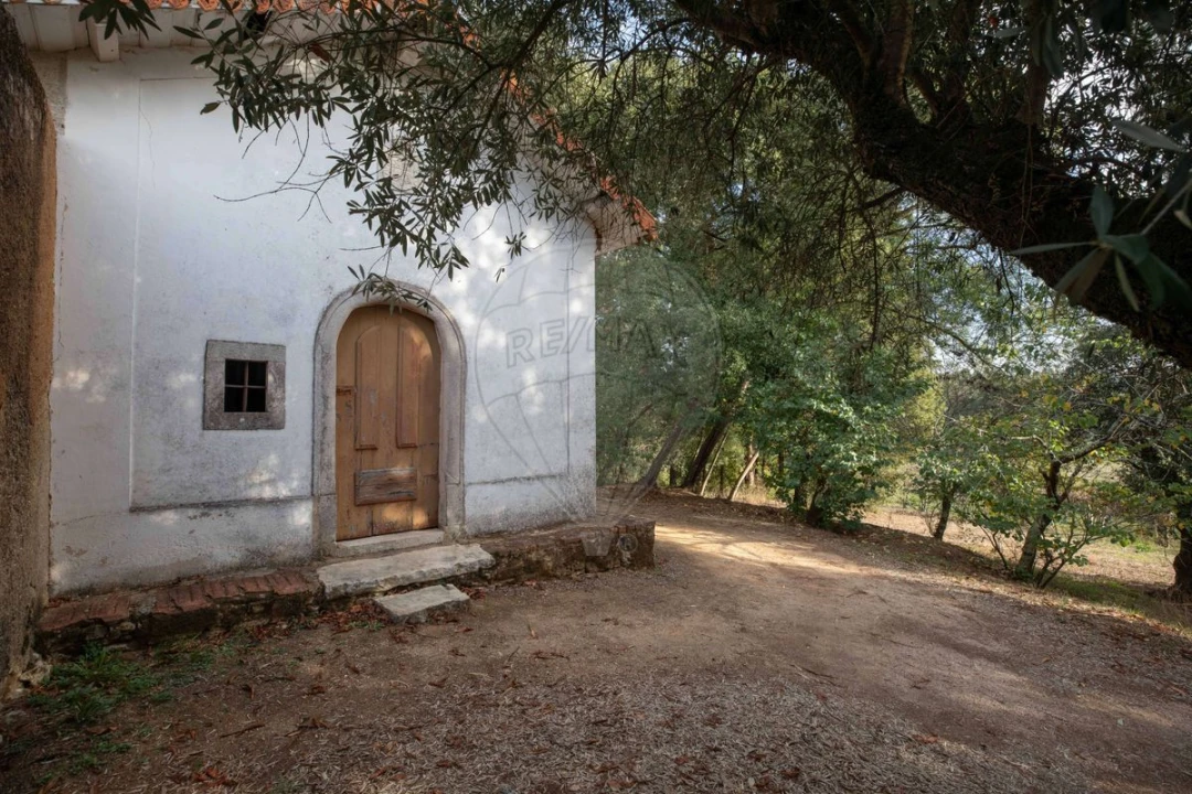 Quinta T8 para Venda em Vacariça Foto 17