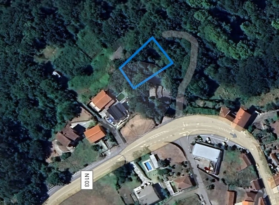 Terreno para Venda em Ruivães e Campos Foto 1