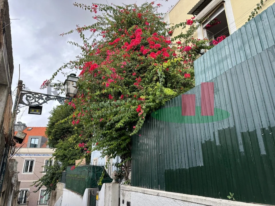 Apartamento T3 para Venda em Santa Maria Maior Foto 26