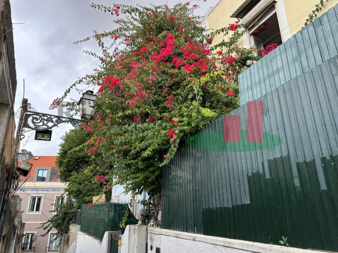 Apartamento T3 para Venda em Santa Maria Maior Foto 26