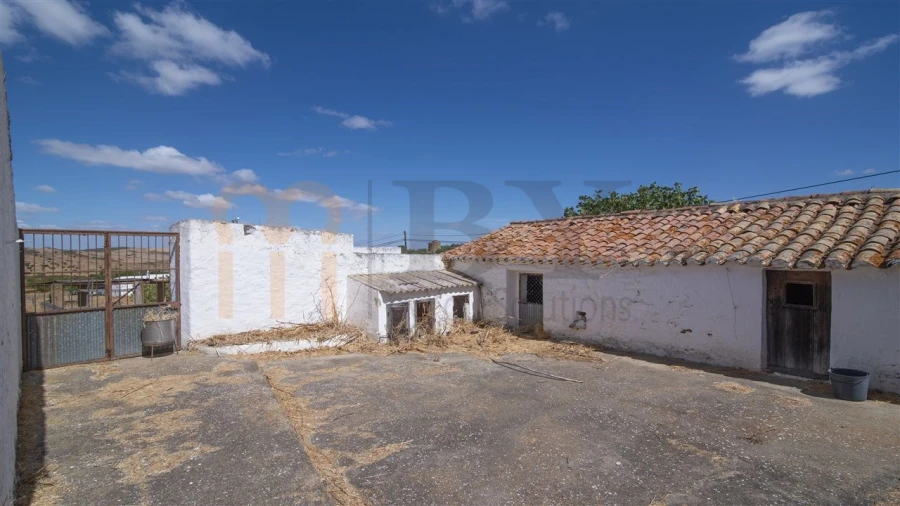 Quinta T2 para Venda em São Miguel do Pinheiro, São Pedro de Solis, São Sebastião dos Carros Foto 16