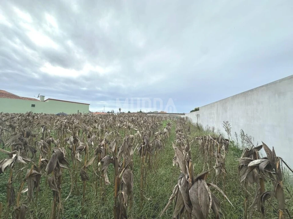 Terreno para Venda em Beduído e Veiros Foto 6