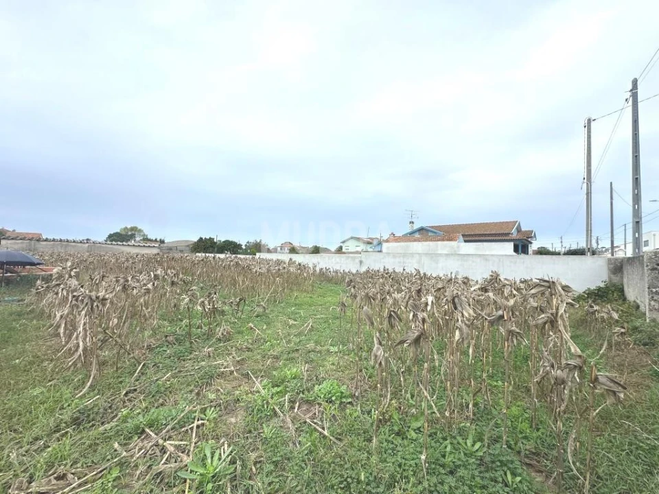 Terreno para Venda em Beduído e Veiros Foto 5