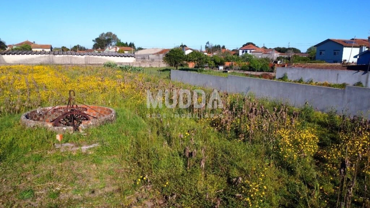Terreno para Venda em Beduído e Veiros Foto 4