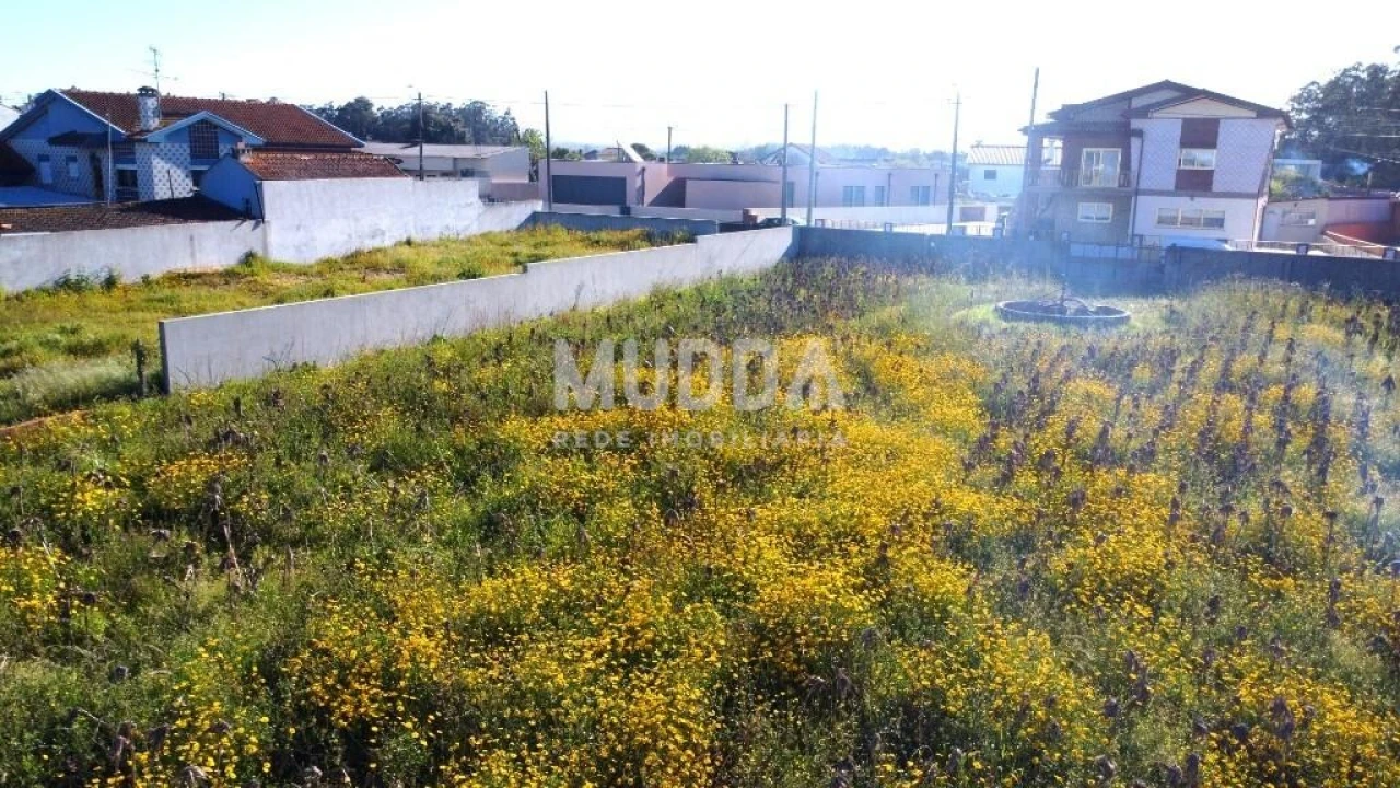 Terreno para Venda em Beduído e Veiros Foto 5