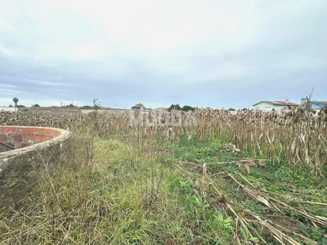Terreno para Venda em Beduído e Veiros Foto 7