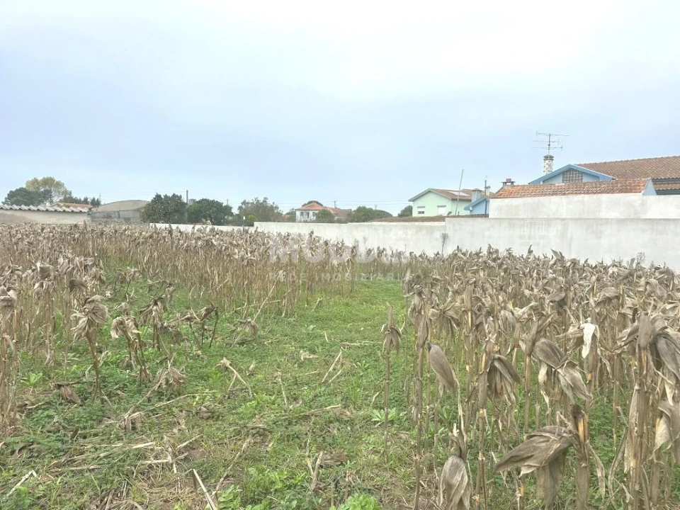 Terreno para Venda em Beduído e Veiros Foto 8