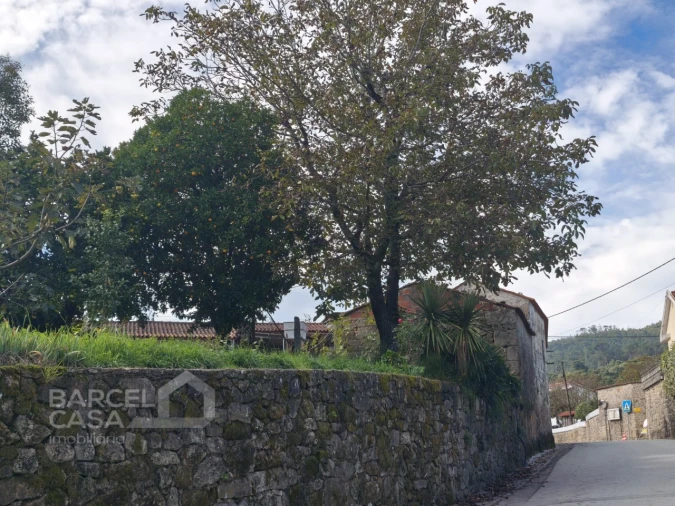 Moradia T3 para Venda em Alvito (São Pedro e São Martinho) e Couto Foto 9