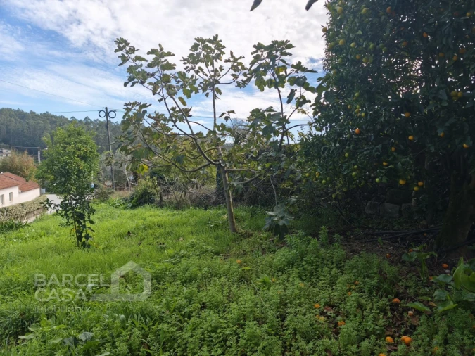 Moradia T3 para Venda em Alvito (São Pedro e São Martinho) e Couto Foto 27