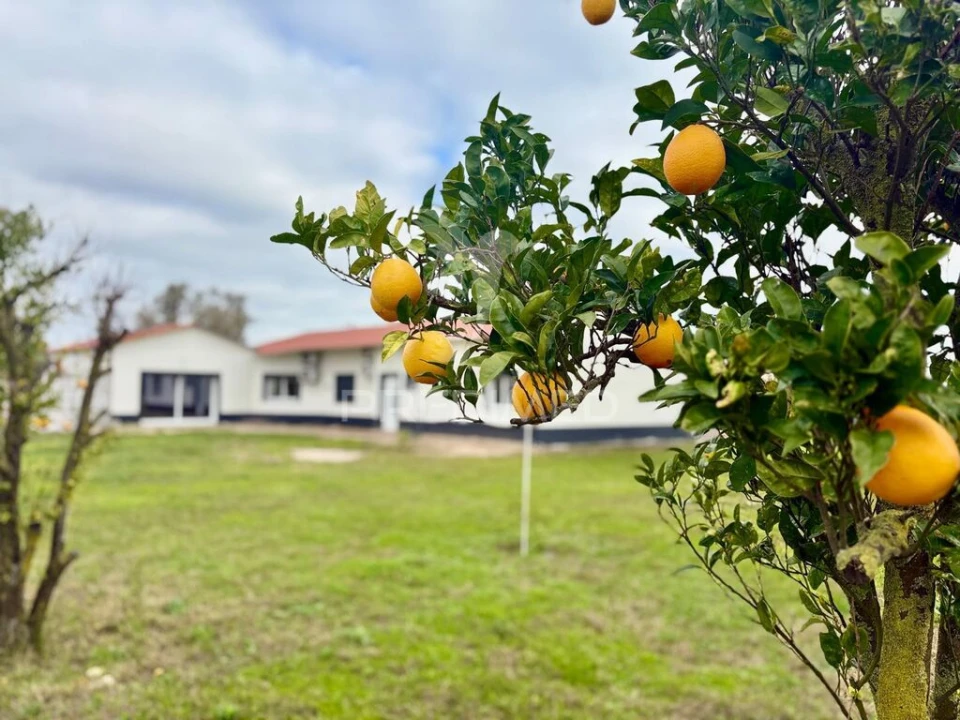 Moradia T5 para Venda em Pinhal Novo Foto 1