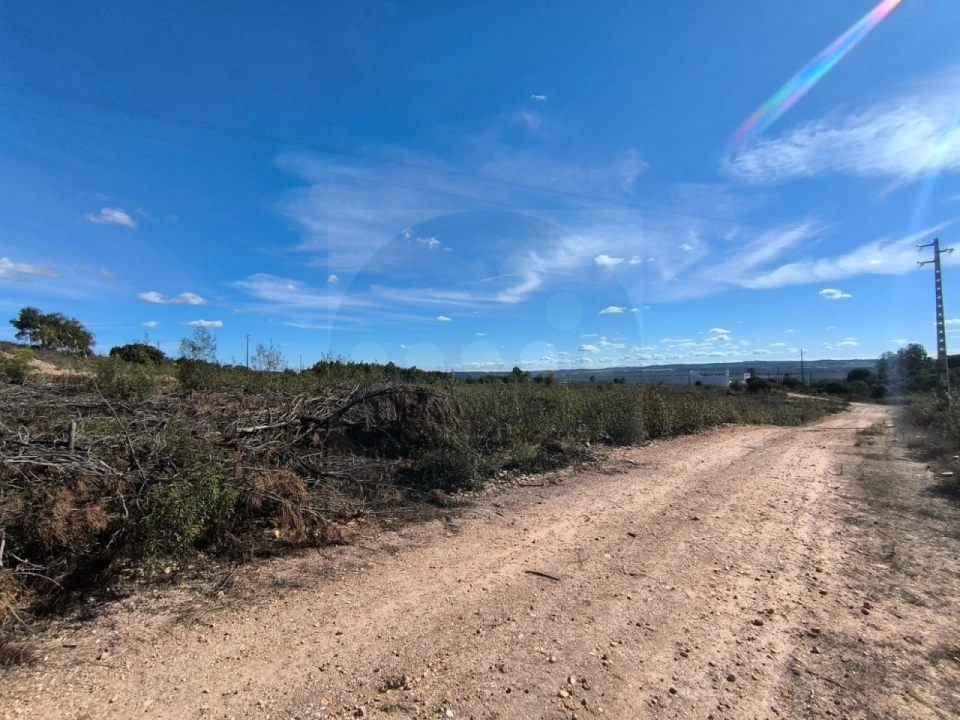 Terreno Comércio / Armazém para Venda em Constancia Foto 3