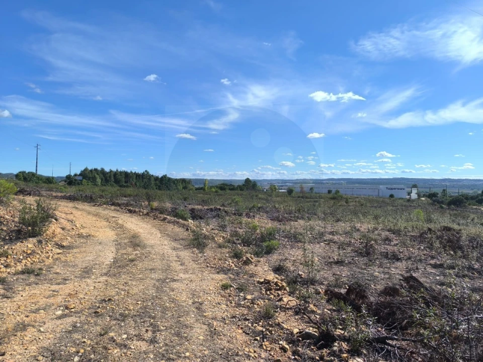Terreno Comércio / Armazém para Venda em Constancia Foto 5