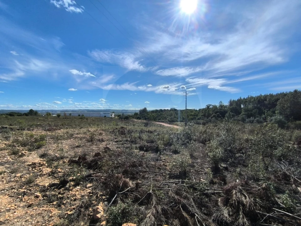 Terreno Comércio / Armazém para Venda em Constancia Foto 6