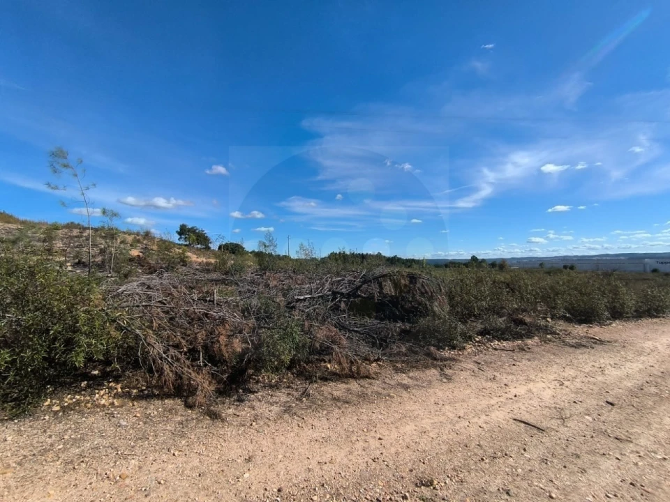 Terreno Comércio / Armazém para Venda em Constancia Foto 7