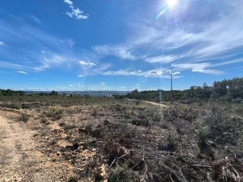Terreno Comércio / Armazém para Venda em Constancia Foto 9