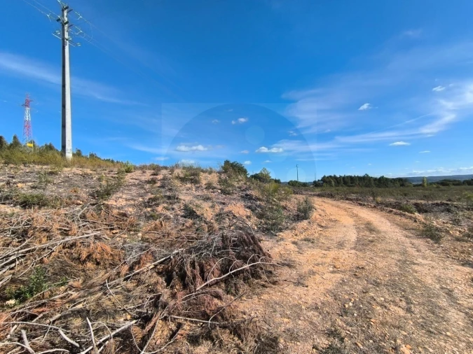 Terreno Comércio / Armazém para Venda em Constancia Foto 2