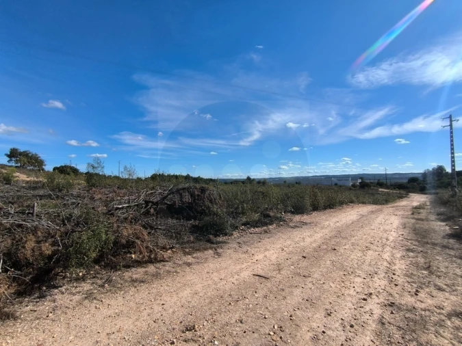 Terreno Comércio / Armazém para Venda em Constancia Foto 3