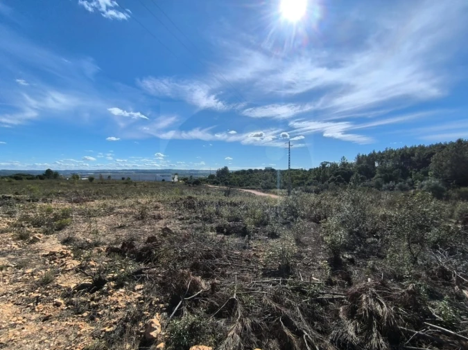 Terreno Comércio / Armazém para Venda em Constancia Foto 6