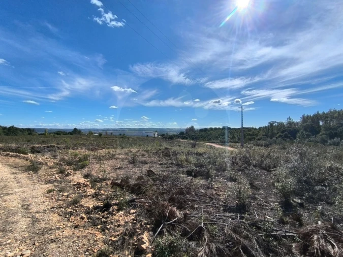 Terreno Comércio / Armazém para Venda em Constancia Foto 9