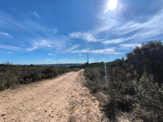 Terreno Comércio / Armazém para Venda em Constancia Foto 10