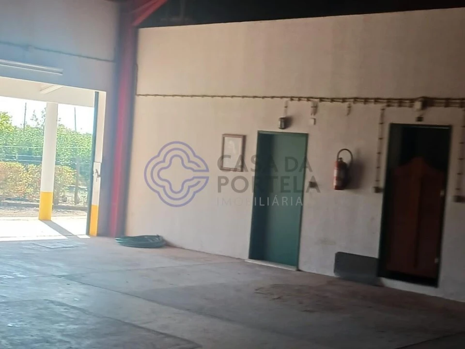 Quinta T4 para Venda em Branca Foto 23